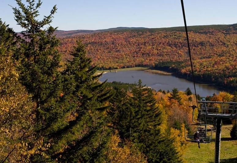 סנואושו Allegheny Springs מראה חיצוני תמונה